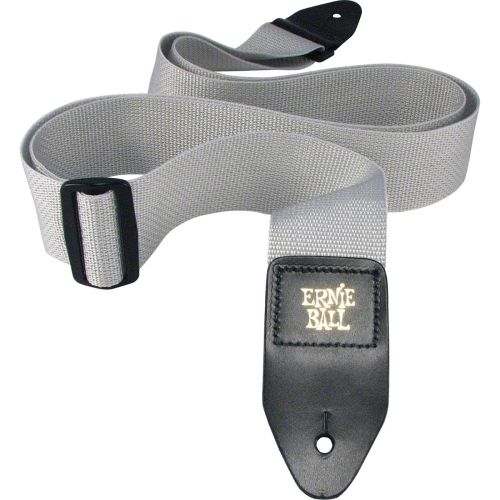 ERNIE BALL POLYPRO GRAY