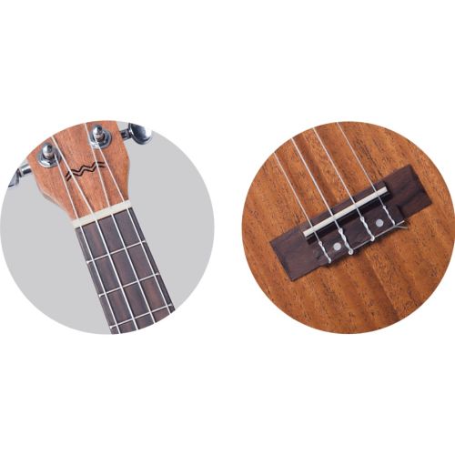 FLIGHT DUC323 MAH/MAH- Puente de Palo de Rosa, Cejuela de Hueso