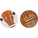 FLIGHT NUS350 DC- Nut de Hueso