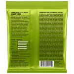 REVERSO ERNIE BALL REGULAR SLINKY 2221