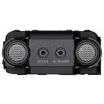 TASCAM DR-100MKIII-mics