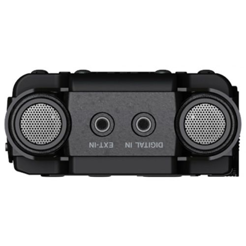 TASCAM DR-100MKIII-mics