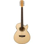 WASHBURN EA20- Cuerpo Completo