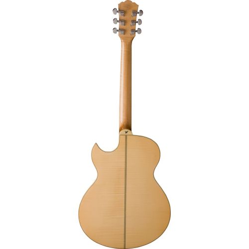 WASHBURN EA20- Back