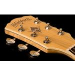 WASHBURN EA20- Maquinaria Cromada