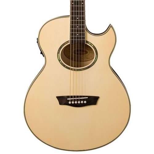 WASHBURN EA20
