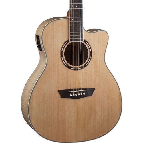 washburn AG40CE.jpg corta