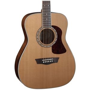 Washburn Heritage F11S
