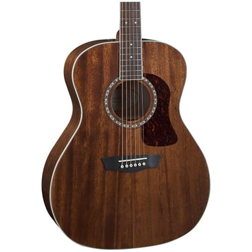 GUITARRA WASHBURN TEXANA G12S.jpg corta