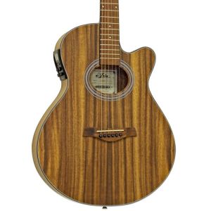 ARIA® FET-T1N Guitarra Electroacústica de Meranti