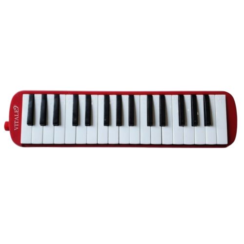 Vitale -6